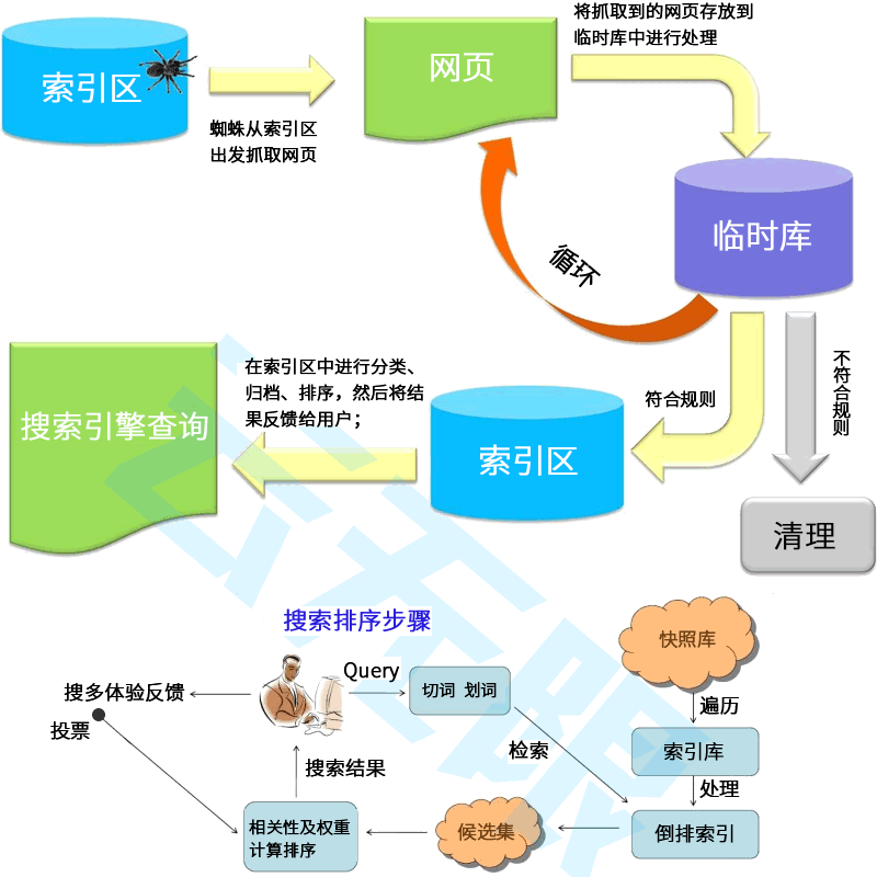 搜索优化SEO
